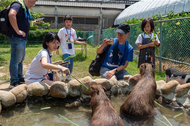 2024「芦竹炫YA农游季」上周末圆满落幕，活动期间30梯次免费小旅行及10场次食农教育体验，场场爆满，好评不断。(农业局提供／蔡依珍桃园传真)