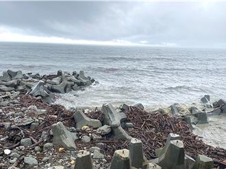 台東沿海漂流木開放撿拾 相關規定一次看