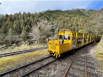 太平山蹦蹦車驚喜回歸！部分路段8／6起復駛