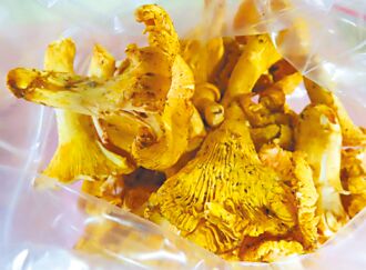 今年第3批 歐洲黃蘑菇輻射超標