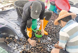 淹水重災戶 張麗善：加碼補助2萬