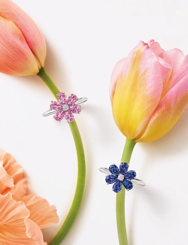 海瑞温斯顿勿忘我Forget-Me-Not系列宝蓝宝石钻石戒指和粉红刚玉钻石戒指。（Harry Winston提供）