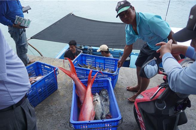 后壁湖也以现捞海鲜闻名，吸引许多游客。（罗琦文摄）