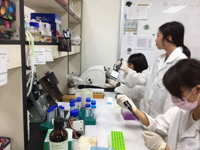 東海生科生醫組正逐步將AI從研究領域導入教學課堂，以AI機器學習與生成式AI進行細胞辨識、蛋白質工程研發、程式設計、大數據等相關課程。(照片/東海大學提供)