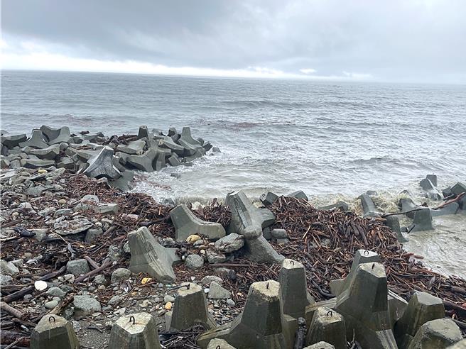 林業保育署台東分署公告自8月1日日起至下次陸上颱風警報或豪雨特報止，開放民眾徒手自由撿拾漂流木。（蕭嘉蕙攝）