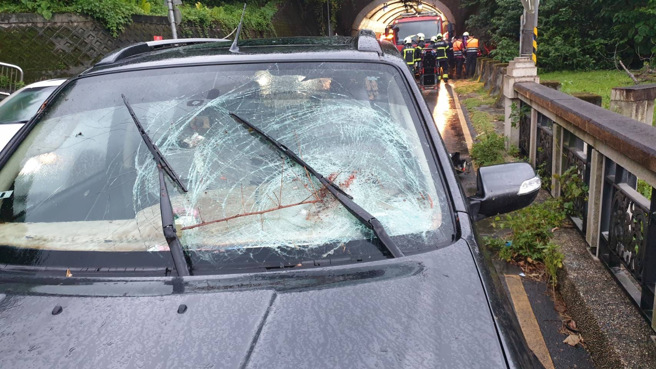 台北市自強隧道往故宮路方向出口處，發生一起樹倒塌。（翻攝畫面）