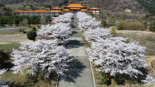 此次提升營日本佛光山法水寺和本栖寺首次跨域合作。(照片/南華大學提供)