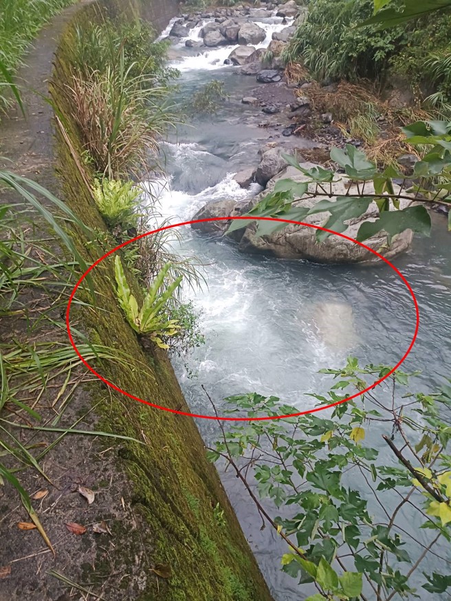 疑似女学员遭漩涡卷入的意外地点。（翻摄画面）
