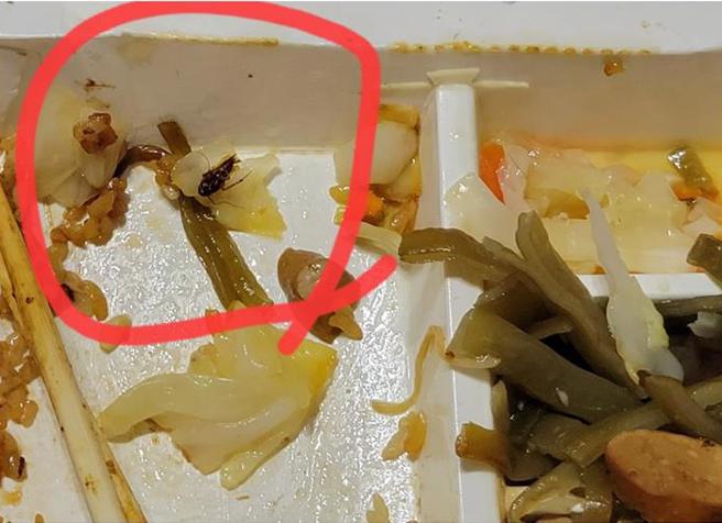 永和區1位媽媽今（31）日下午於永和保平店便當店買了2個便當，打開後驚見便當裡的高麗菜「躺」著1隻油亮油亮的蟑螂。（臉書社團《我是永和人》提供）