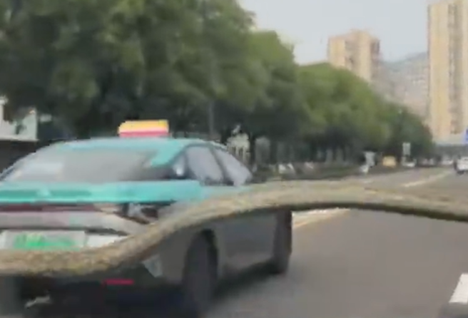 大陆有驾驶开着车时，惊见挡风玻璃上出现1米长蛇。（图／翻摄自微博）