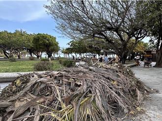 風災重創旗津！ 風箏節展演再順延至8／10、8／11