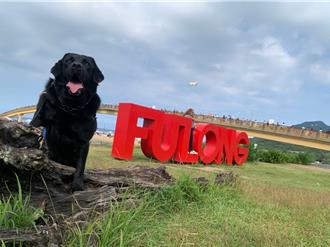 新北退役5警犬開放領養 警不捨：抱著嫁女兒心情送養