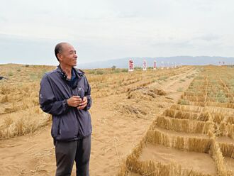 寧夏治沙造林有成 蒙古也来取经