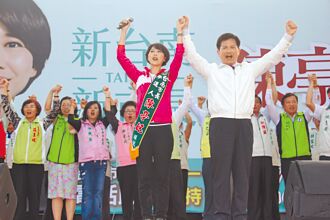 綠中常委就職 南市長初選3將同桌請命