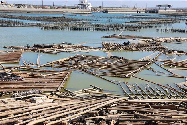 嘉义县政府估计损害，沿海有8400棚浮筏蚵棚及300公顷平挂蚵棚受害，金额达1亿6200万元。（吕妍庭摄）