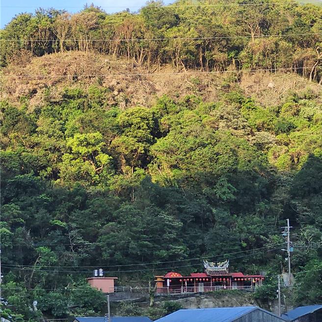 新北猴硐一处水土保持地树木惊传遭台电砍光，台电回应，是因为日前凯米颱风造成树木倾倒，拉扯到电缆导致双溪部分地区停电，因此紧急砍树应变，但当地里长不埋单表示：「双溪停电怎么会砍猴硐的树？」（贺培晏摄）