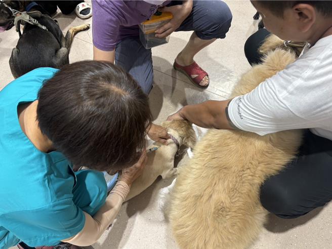 毛孩爸妈看过来  便民新措施！ 8月起林园鱼病检验站新增狂犬病疫苗注射服务。（高雄市政府农业局提供／林雅惠传真）