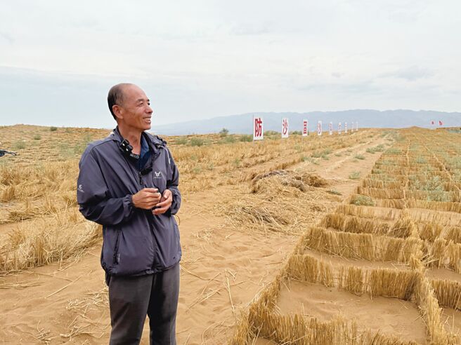 中衛市國有林業總場總工程師唐希明介紹騰格里沙漠治沙成果，讓漫漫黃沙長出植被。圖／黃欣