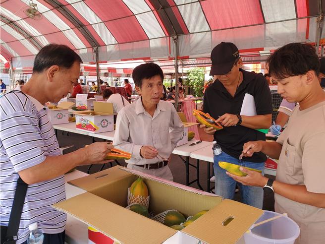 虽然受凯米颱风重创，林内乡农会今日照常举办木瓜评鑑。（周丽兰摄）