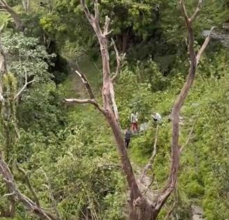 成大教授遇颱風拒下山 「4天後求送醫」惹議  消防局這2理由不罰