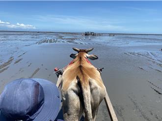 國旅市場火熱 高鐵多項優惠助攻暑期旅遊