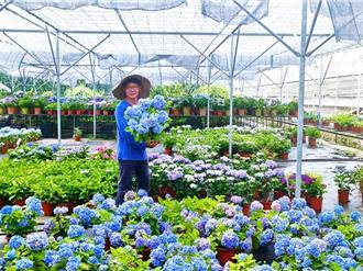 肥料價格翻倍！疫情與戰爭雙重影響 花農苦