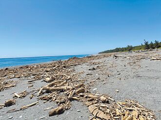 花莲海岸漂流木 即起开放捡拾