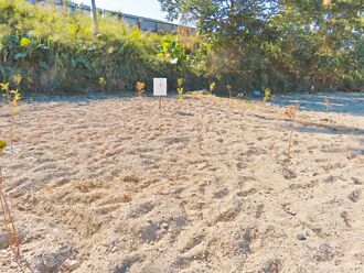 彰化2筆特農地拍賣 每坪不到2萬元