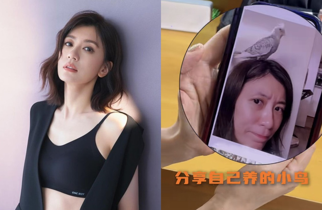 贾静雯素顏照意外曝光。（图／截图自贾静雯  IG、小红书）