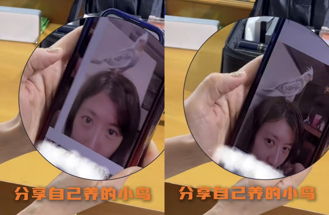 贾静雯分享和宠物鸟合照。（图／截图自贾静雯 小红书）