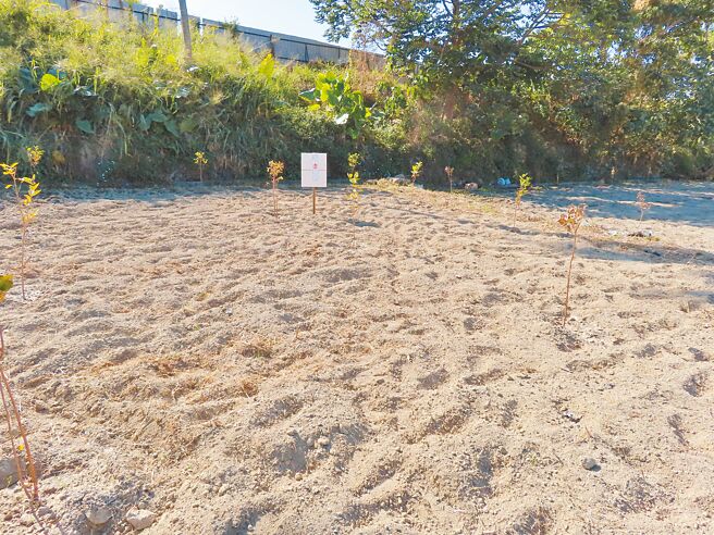 法務部行政執行署彰化分署將於6日舉辦全國123聯合拍賣會，拍賣標的物中有2筆特定農業區農牧用地總面積約608坪，合併拍賣後每坪起標價不到2萬元。（行政執行署彰化分署提供／孫英哲彰化傳真）