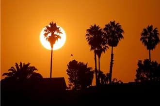 歐洲每年17.5萬人死於高溫 專家警告「氣候變遷的最終代價」