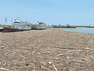 屏東 漂流木作怪 鹽琉線船班大延誤