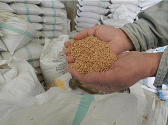 陸大宗商品價格指數連3月正增長 農產價格指數止跌反彈