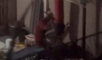 獨》男飼主疑虐狗影片曝光 中市動保處要查了