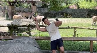 北市動物園歡慶「麟洋配」奪金免費入園  和羚羊合照再送小禮