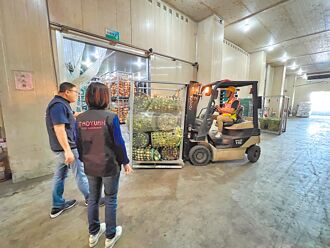 菜價飆至42.4元 桃市首釋出冷藏蔬菜