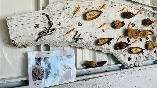 杨柳东岸女艺俱乐部成员陈美秀以乾果、枯叶创作《连结生活点滴》。（萧嘉蕙摄）