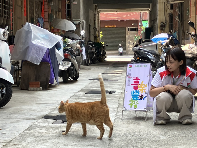 信義房屋中都店協助豐裕里打造動物共融基地，讓生活環境更加美好。(圖/信義房屋 提供)