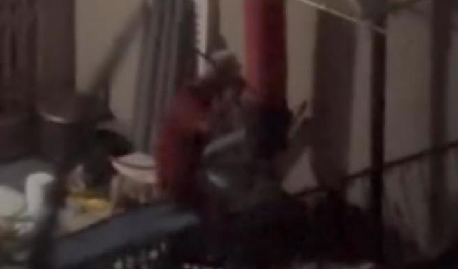 台中市大里區1處民宅傳出疑似虐狗事件，1名飼主持水管往黑狗身上毆打，水管被叼走後，又持另隻棍棒毆打另隻狗狗，過程被葉姓民眾錄下影片。（民眾提供／潘虹恩台中傳真）