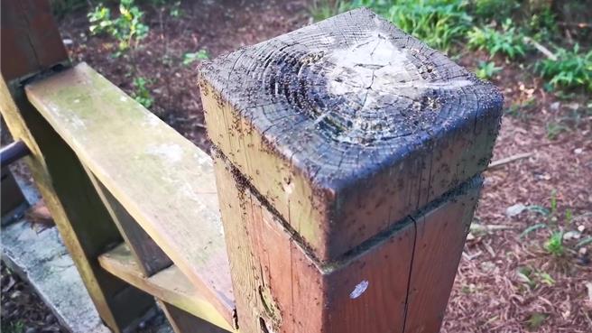 近日有民眾到新竹市十八尖山健走，發現步道、欄杆、椅子、扶手遭大批螞蟻入侵。（摘自臉書新竹大小事／陳育賢新竹傳真）