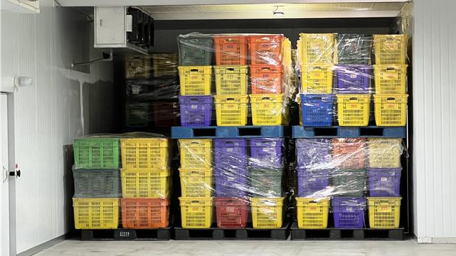 麻豆区农会总干事孙慈敏说，去年获得中央5000万元补助，兴建2座大型冷藏库，可以一次大量收购新欉大果文旦。（张毓翎摄）