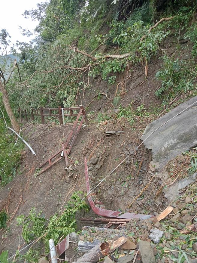 竹坑溪步道受創最為嚴重，整大段步道滑落、消失。（阿里山管理處提供／呂妍庭嘉義傳真）