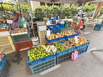 香菜1斤上千元 四季豆600元