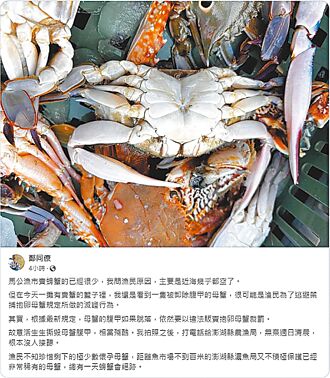 澎湖摊贩卖抱卵母蟹 举报没人理