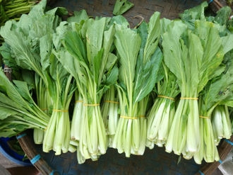 蔬菜别整包塞冰箱 「顺着生长方向」延长保鲜期