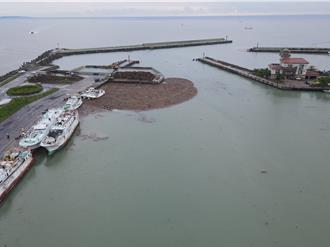 東港鹽埔漁港漂流木成災 影響鹽琉線船運