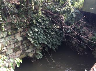 苗縣苑裡圳舊水門獲列縣定古蹟 調查修復說明會下周登場