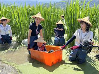 寻找茭点女神！许淑华与美人腿公主青蛙装下田 推广茭白笋
