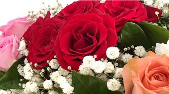 七夕、父親節送花荷包失血 玫瑰買氣冷清